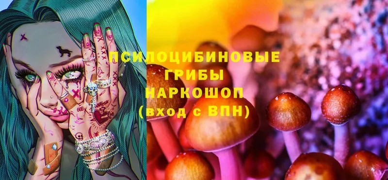 где купить   Аша  OMG ТОР  Псилоцибиновые грибы Magic Shrooms 